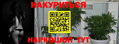 бошки Аша