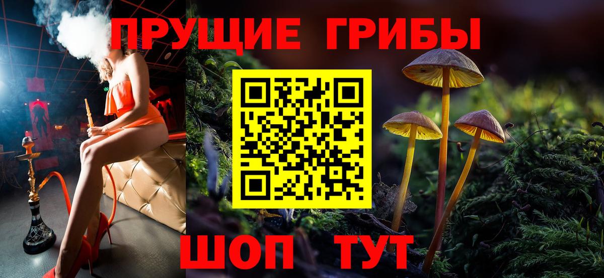 Галлюциногенные грибы прущие грибы Астрахань
